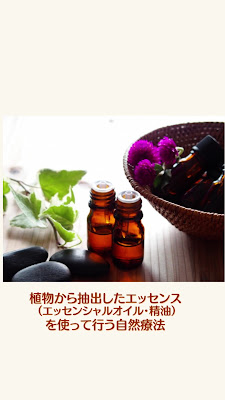 에이지리스 케어 살롱 seeds 사진 4