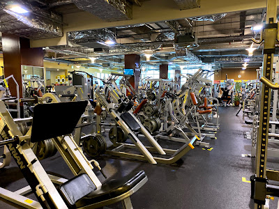 Gold's Gym Osaka Nakanoshima 사진 3