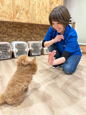 FREEWAN（フリーワン）犬の幼稚園・トリミングエステサロン大阪市北区店 사진 3