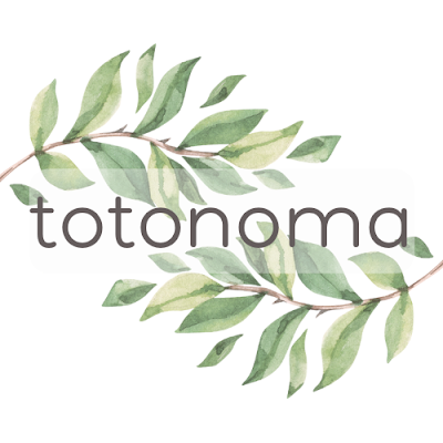 totonoma 사진 3