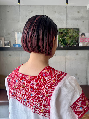Vechic Osaka Fukushima 사진 5