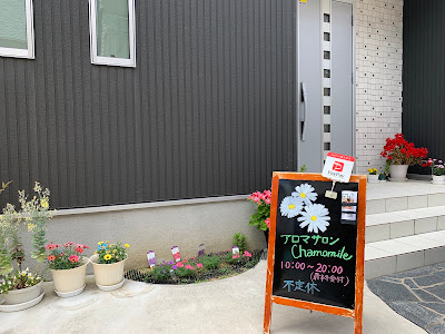 カモミール(Chamomile) 사진 3