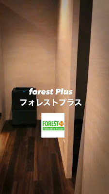 FOREST＋PLUS 사진 2
