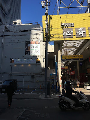 アイビー 사진 3
