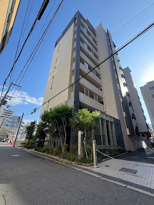 毛穴・シミ改善＆内臓デトックスサロンMIRUS（ミラス）大阪 사진 2