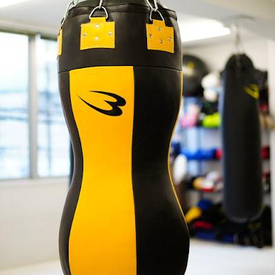 LION MUAYTHAI GYM 사진 5