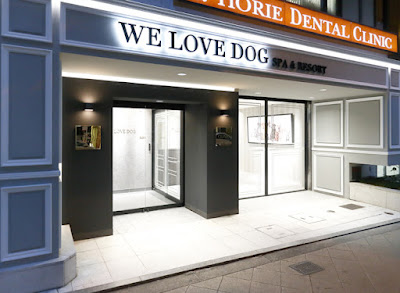 WE LOVE DOG 사진 3