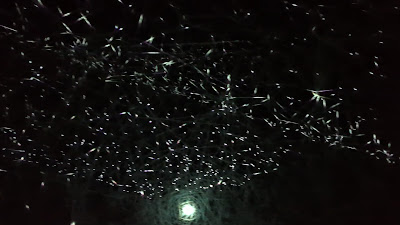 空間美術館 大阪 Museum of Spatial Art Osaka 사진 2