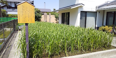 Fukae local museum 사진 4