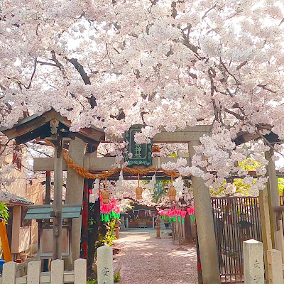 Shikinai Tatehara Shrine 사진 2