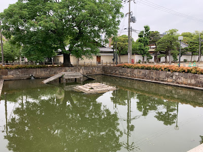 丸池・鏡の池 사진 4