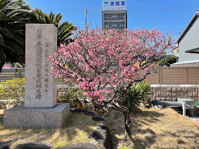 Myokoji 사진 3