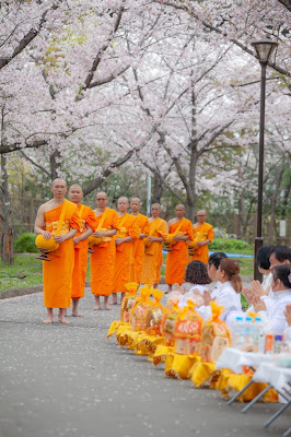 วัดพระธรรมกายโอซาก้า 사진 4