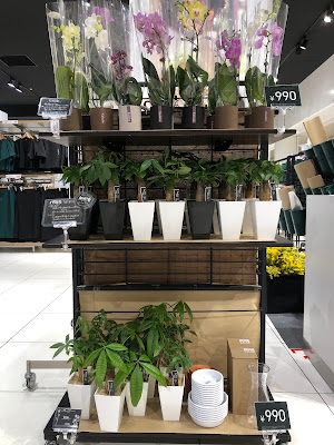 UNIQLO FLOWER Abeno Q's Mall Store 사진 4
