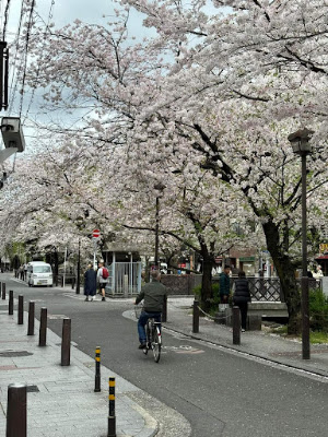 四条通東商店街 사진 2