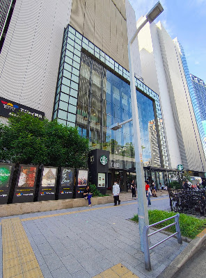 이마 사진 5