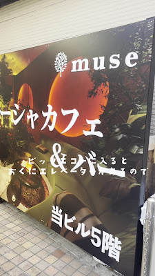 Muse 사진 2