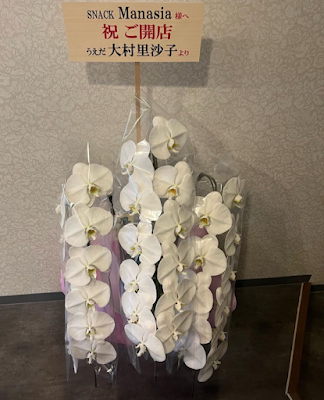 Manasia 사진 2