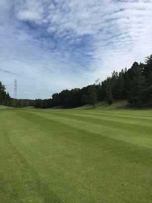 GOLF STUDIO PONTE 사진 3