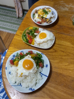 아카톤보 사진 3