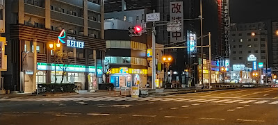 Sound Bird 사진 4