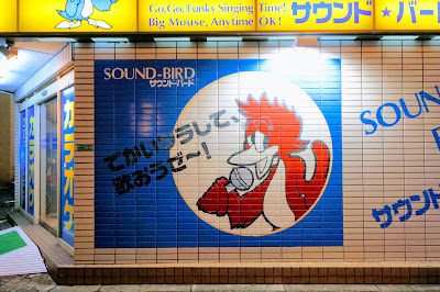 Sound Bird 사진 3