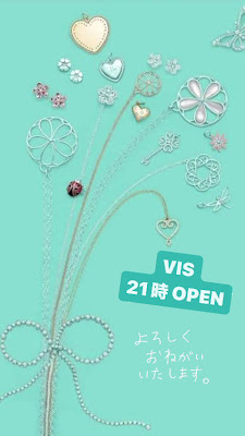 VIS 사진 3