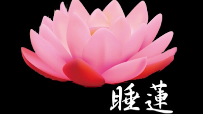 睡蓮 사진 4