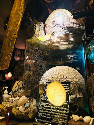 Shell house (undersea bar) 사진 2