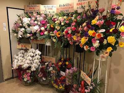 GayMixBar HybriD 사진 5