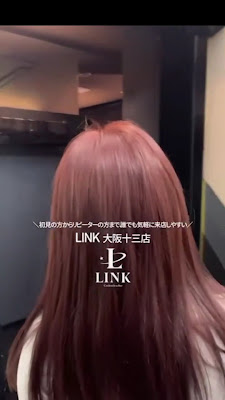 Link 사진 2