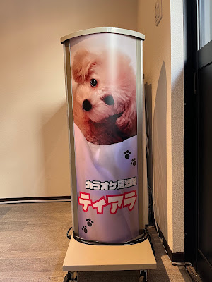 키아라 사진 3