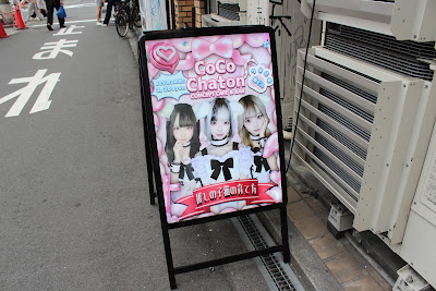 CoCo Chaton 사진 3