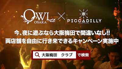 OWL 사진 2