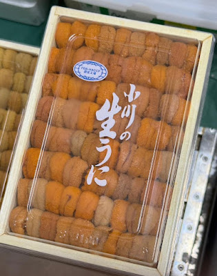Sushi Shison 사진 4