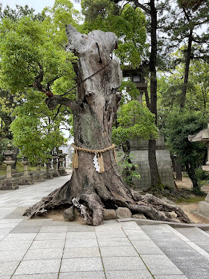 角鳥居 사진 3