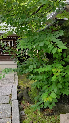 신메이 신사 사진 2