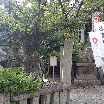 산코 신사 사진 2