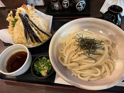 Hoshino 사진 3
