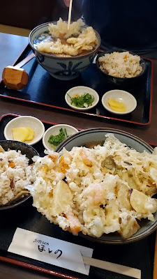 Hoshino 사진 2