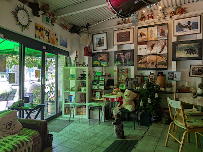 Kuma Kafe 사진 3