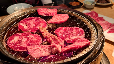 하야 사진 2