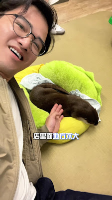 LOUTRE 大阪店 사진 2