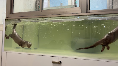 LOUTRE 大阪店 사진 3