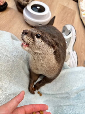 LOUTRE(ルートル)大阪千日前店 사진 3