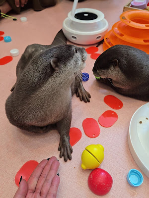 LOUTRE(ルートル)大阪千日前店 사진 2
