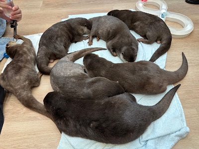 LOUTRE(ルートル)大阪千日前店 사진 4