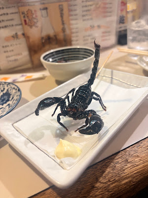 타네요시 사진 4