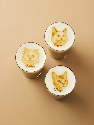 Cat Cafe MOFF Tennoji MIO 사진 3