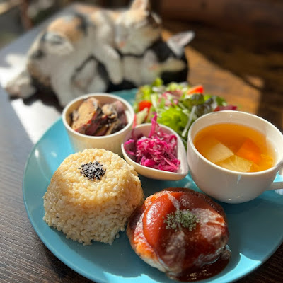 shelter cat ＆ VEGAN café “neu” 사진 3